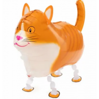 К ХОД Кот рыжий